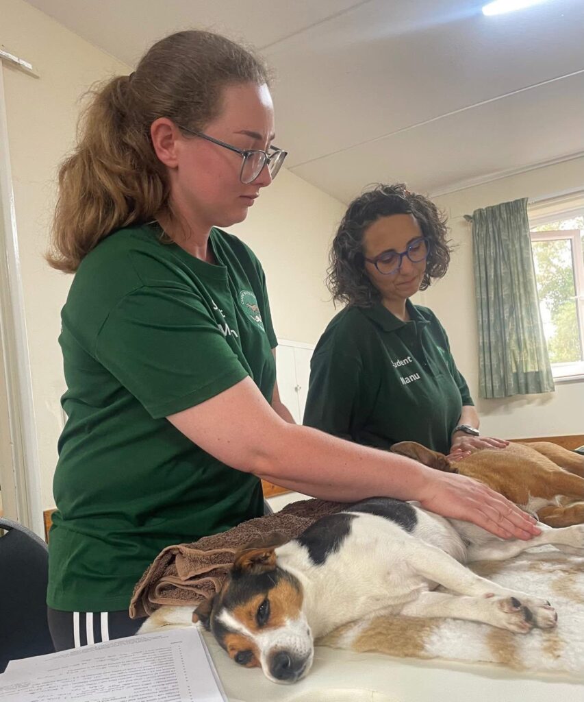 Two women with two dogs asleep, receiving massage treatment